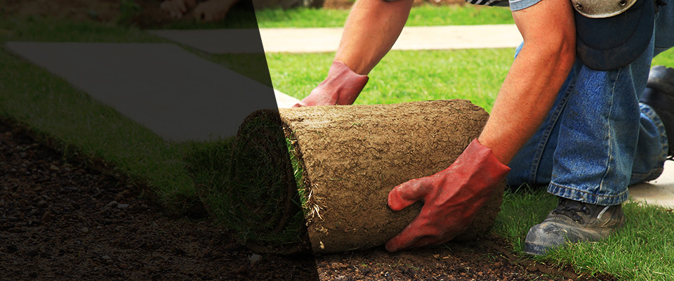 Fort Walton Beach Landscapers